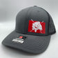 ANY STATE Bowfishing Carp Fish Snap Back Adjustable Hat with multiple color options